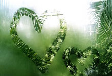 西汉姆联对阵布伦特福德，谁能在这场伦敦德比中占得先机？