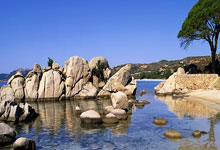 勒沃库森对阵斯图加特，这场德甲对决有哪些看点？